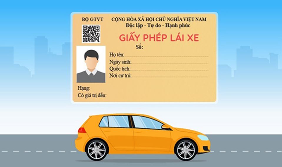 Tính đến năm 2023, các loại bằng lái xe ô tô ở Việt Nam hiện đang được lưu hành và sử dụng bao gồm tất cả 11 loại