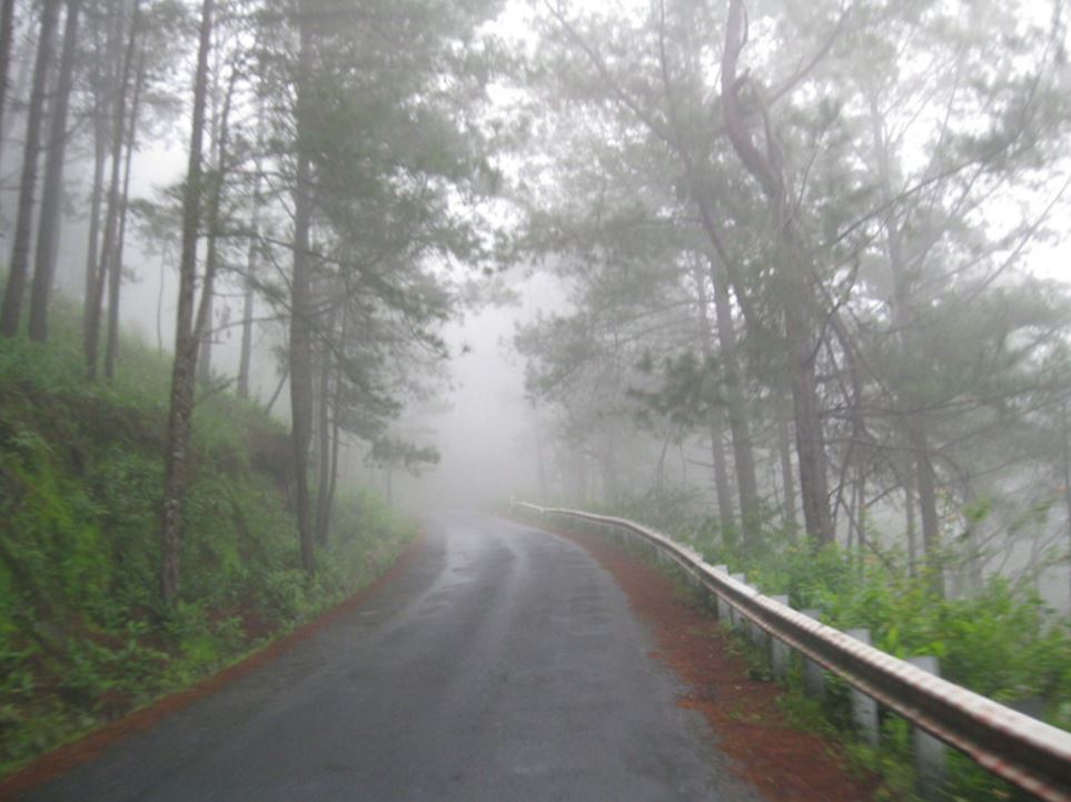 Nếu như không quá gấp phải đi vào đoạn đường có nhiều sương mù, hãy lập kế hoạch để di chuyển vào thời điểm sương mù đã tan bớt, tầm quan sát rộng hơn