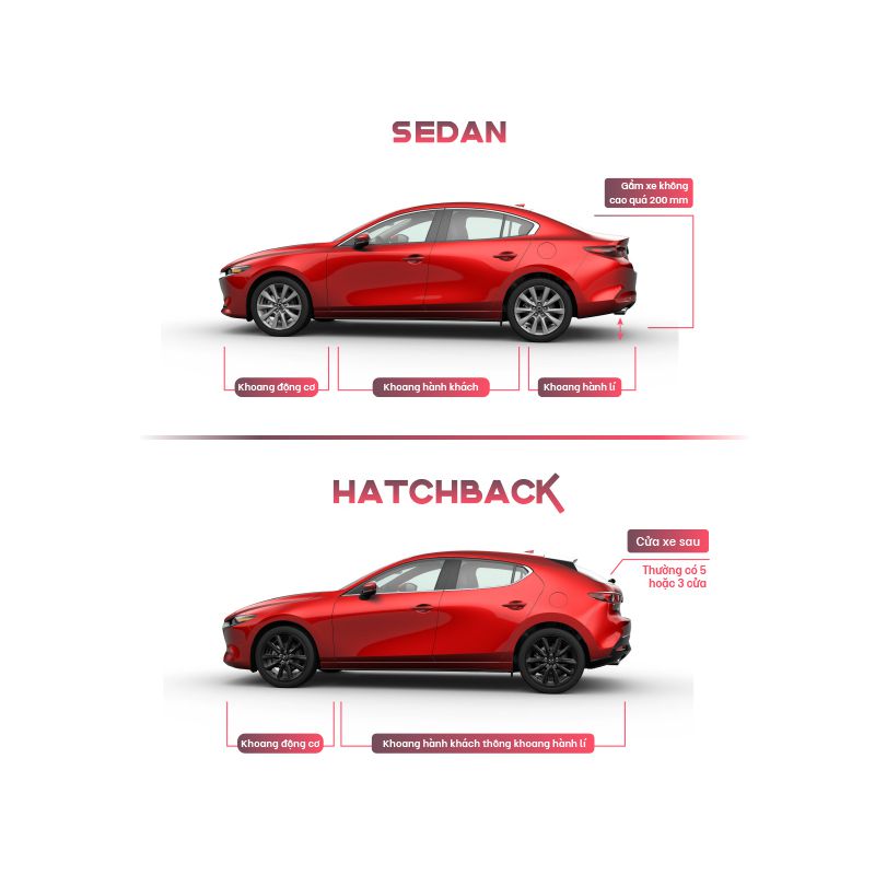 Minh họa sự khác nhau giữa xe hatchback và xe sedan